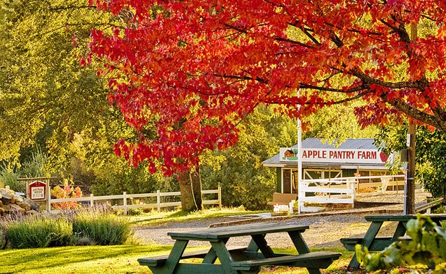 apple hill california
