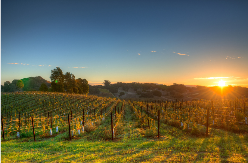 napa california