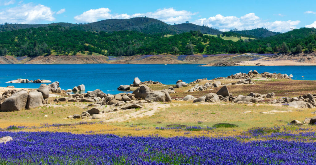 folsom lake