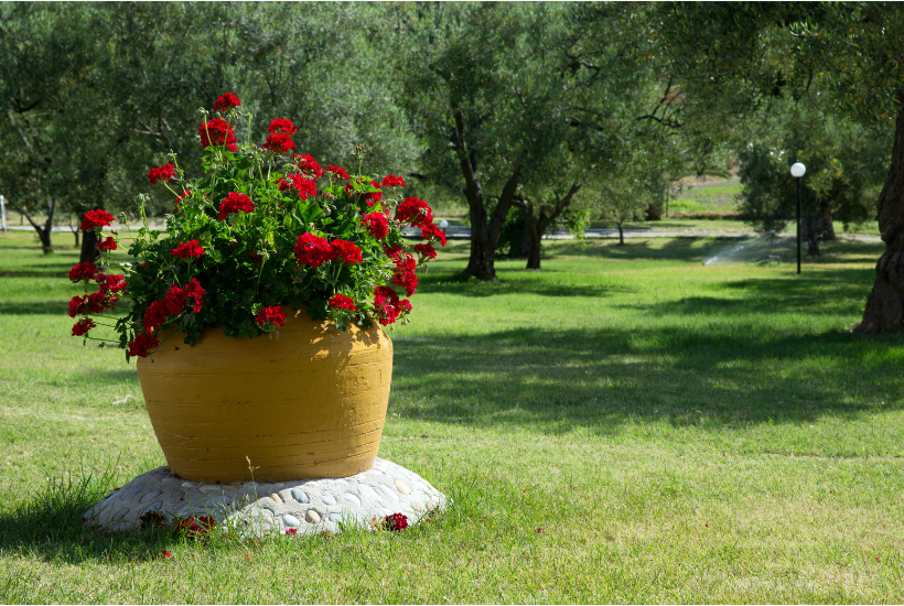 greek style garden in sacramento