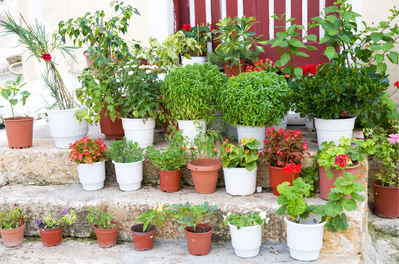 greek style garden in sacramento