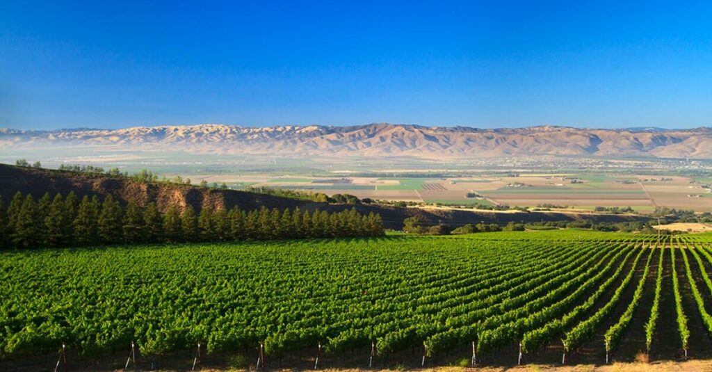 lodi wine country