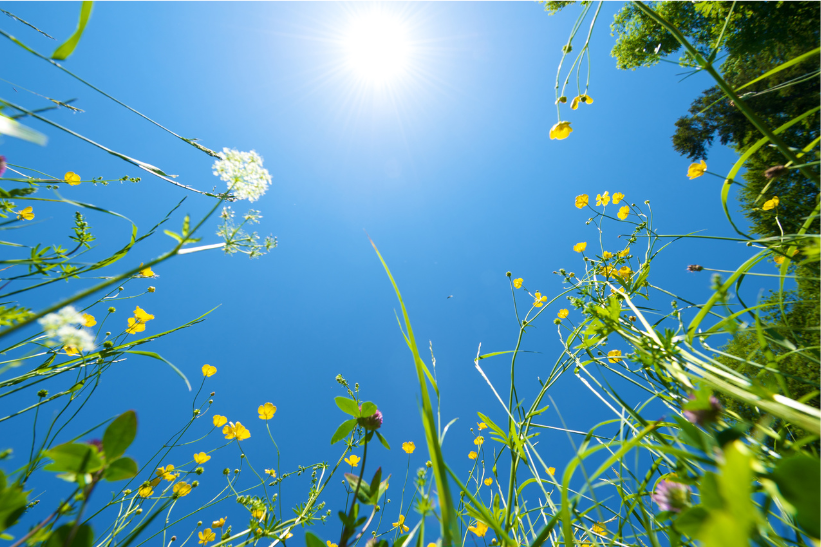 How the Summer Sunshine Lifts Your Spirits
