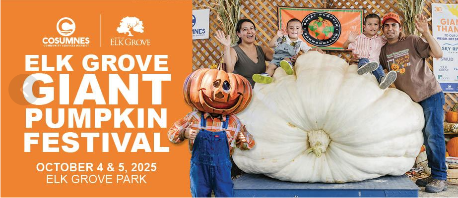 ELK grove fall festival in sacramento