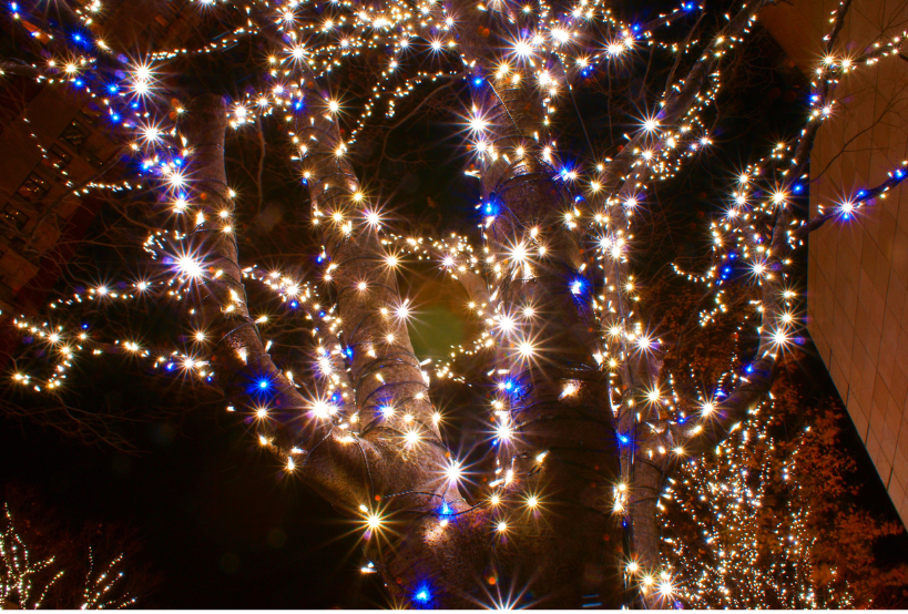 christmas tree lighting in sacramanto