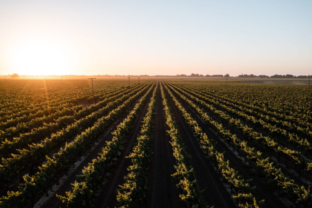 clarksburg wine country