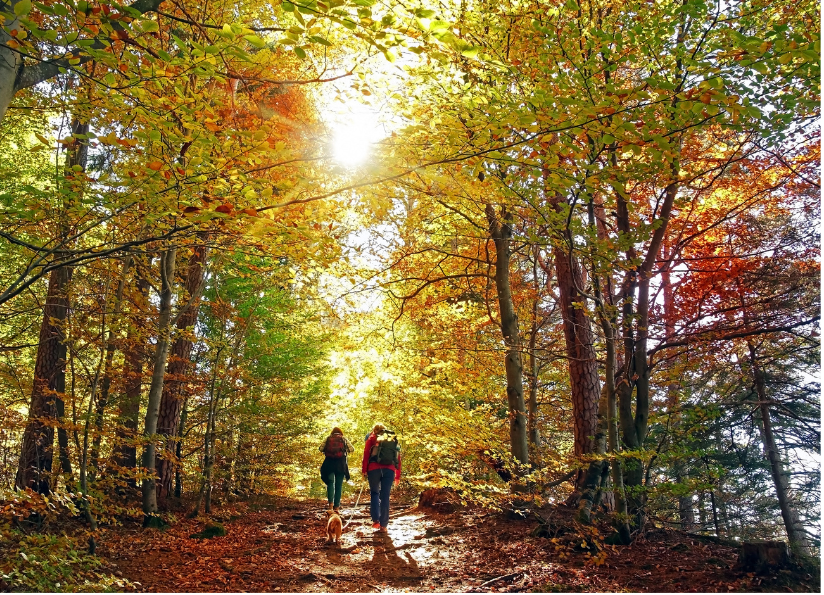 hiking during fall season in sacramento