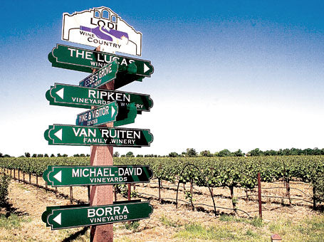 lodi-wine-country