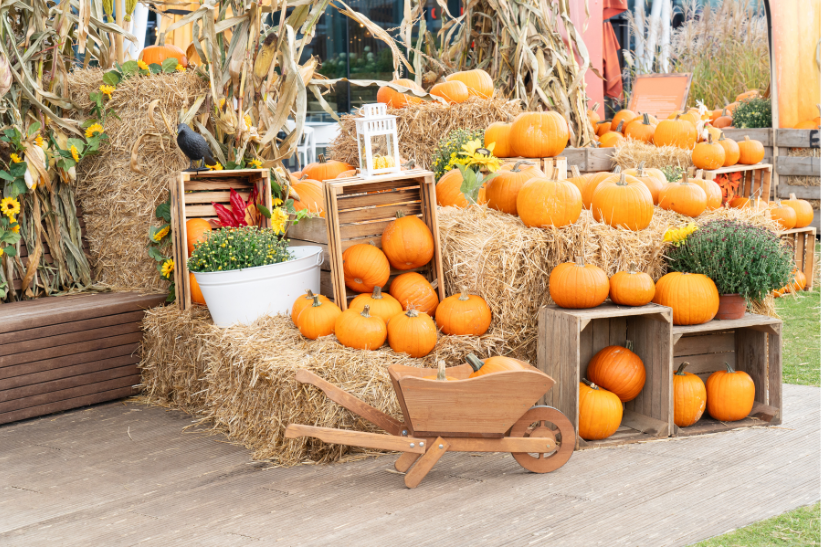 pumpkins on a hay stack